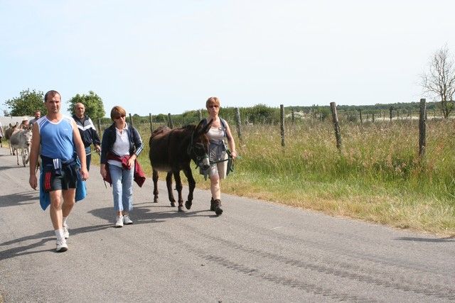 2015-07-06 rando anes (25).JPG